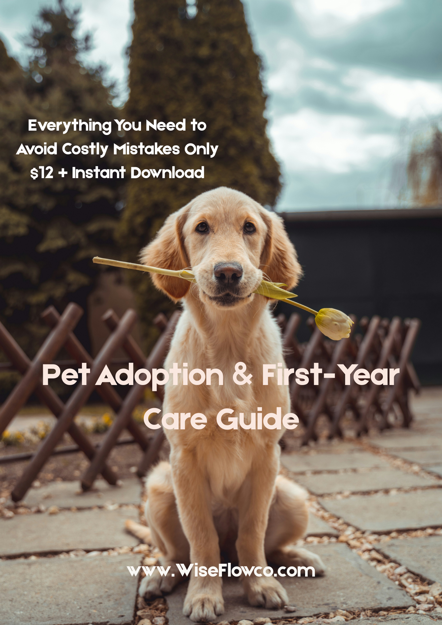 Pet Adoption & First-Year Care Guide